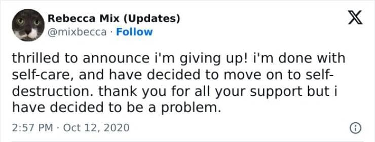 Brain memes thrilled to announce i'm giving up! i'm done with self-care, and have decided to move on to self-destruction. thank you for all your support but i have decided to be a problem.