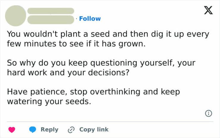 Brain memes You wouldn't plant a seed and then dig it up every few minutes to see if it has grown. So why do you keep questioning yourself, your hard work and your decisions? Have patience, stop overthinking and keep watering your seeds.