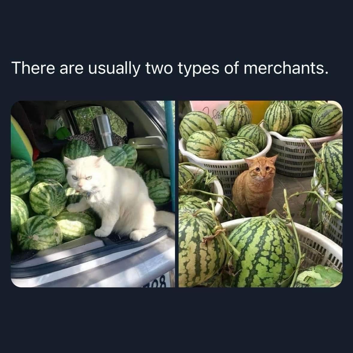 classic memes, vintage memes, viral tweets, old memes, best memes, viral memes, funny tweets, digital nostalgia