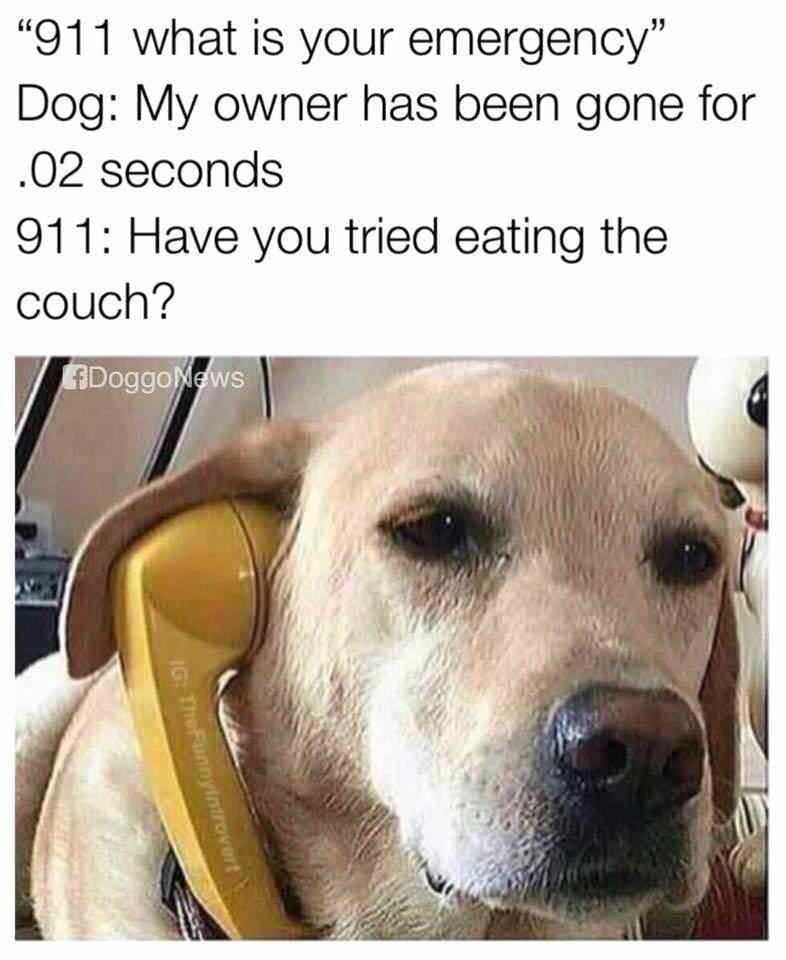 classic memes, vintage memes, old memes, best memes, viral memes, internet culture, retro memes, old-school memes, iconic memes