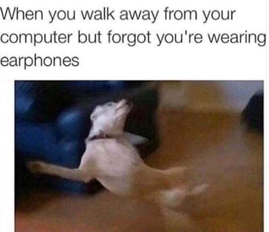 classic memes, vintage memes, viral tweets, best memes, old memes, classic tweets