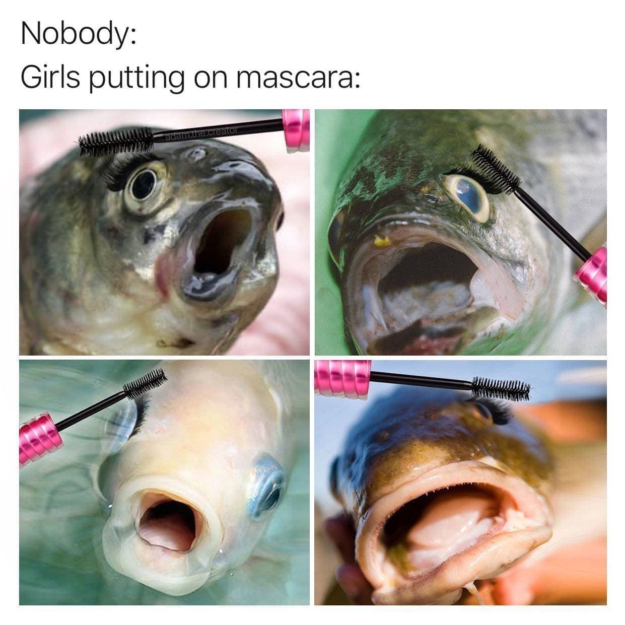 classic memes, vintage memes, old memes, best memes, viral memes, internet culture, retro memes, old-school memes, iconic memes