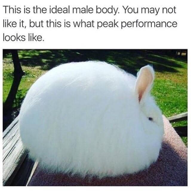 easter memes, funny easter memes, Funny Easter memes, Happy Easter memes, Easter egg hunt memes