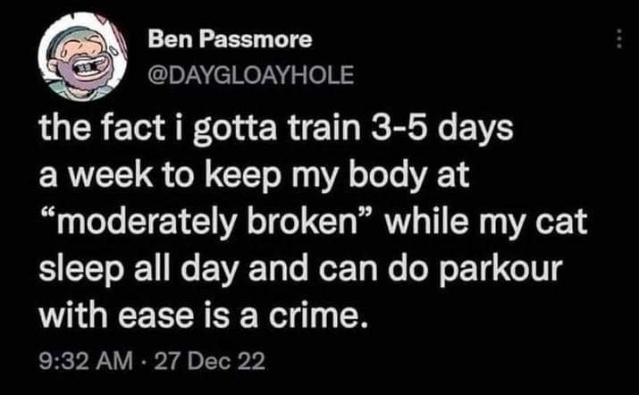 the fact i gotta train 3-5 days a week to keep my body at "moderately broken" while my cat sleep all day and can do parkour with ease is a crime.