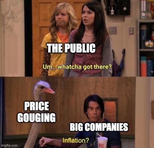 THE PUBLIC Um.whatcha got there? PRICE GOUGING BIG COMPANIES Inflation?