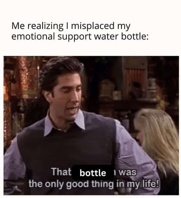 Me realizing I misplaced my emotional support water bottle: That bottle I was the only good thing in my life!