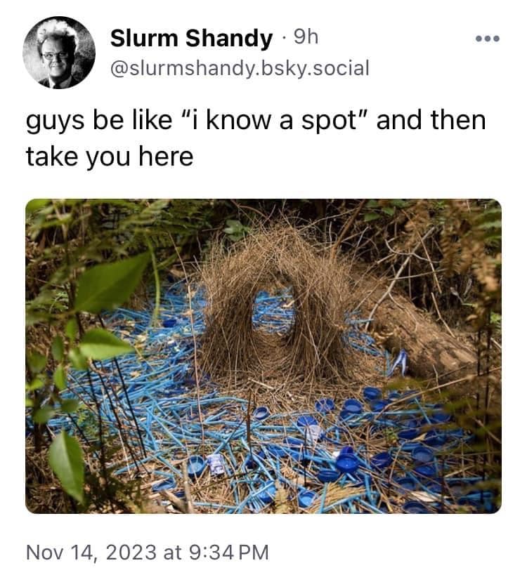 meme dump, hilarious memes, funny memes, meme collection, humor gallery, laugh fest, best memes