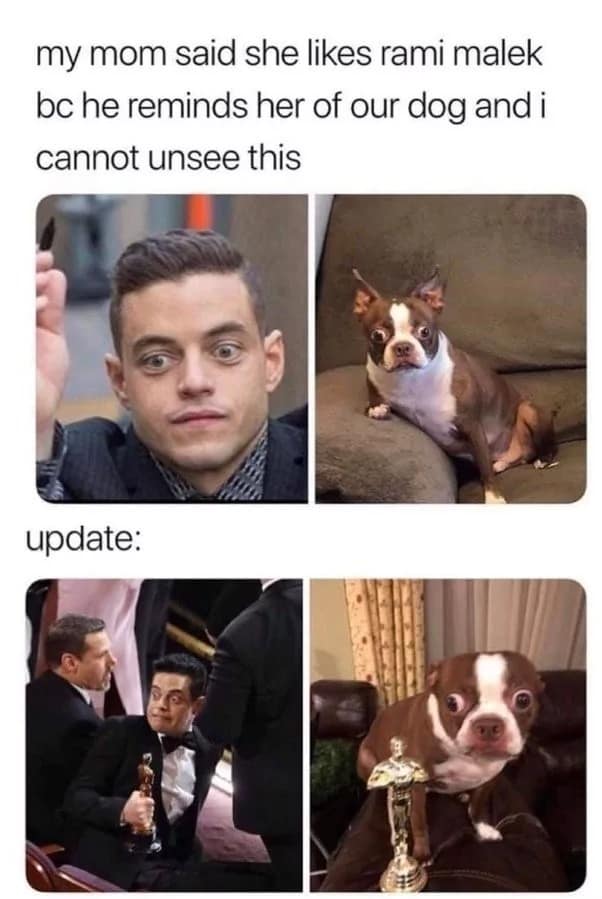 oscars memes, academy awards humor, awards ceremony jokes, celebrity memes