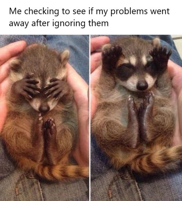 relatable memes, universal memes, shared experiences, human connection, relatable humor, relatable jokes, meme camaraderie