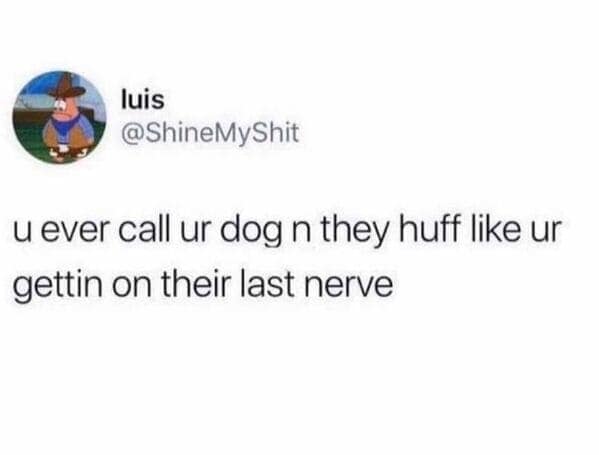 relatable memes, universal memes, shared experiences, human connection, relatable humor, relatable jokes, meme camaraderie