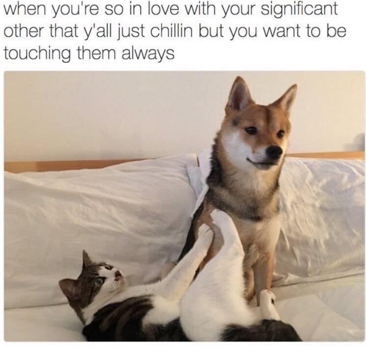 relationship memes, love memes, couples humor, romantic laughter, partnership memes, dating humor, affectionate jokes
