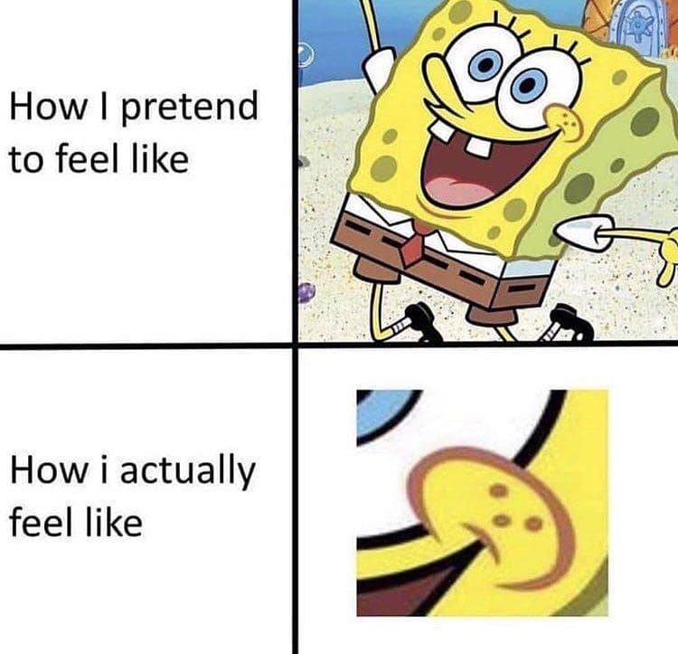 spongebob memes, spongebob jokes, Spongebob Squarepants humor, Bikini Bottom jokes, animated series memes, Patrick Star memes, Squidward humor