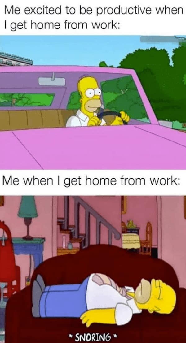 Me excited to be productive when I get home from work: Me when I get home from work: * SNORING *