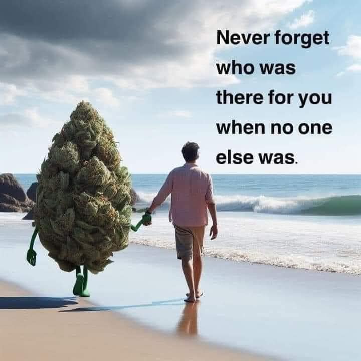 420 memes, weed memes, stoner memes, Cannabis Memes, Funny Stoner Content, Hilarious Stoner Stuff, Amusing Dope Culture, Pot Jokes, Cannabis Comedy