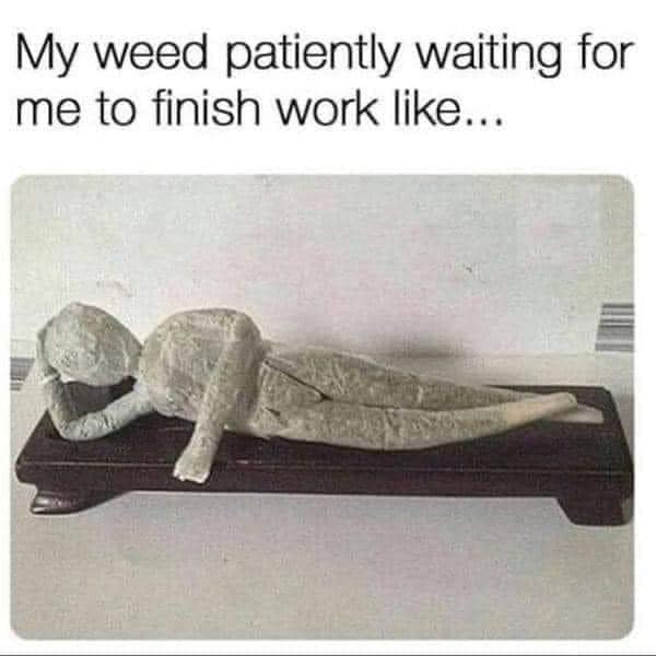 420 memes, weed memes, stoner memes, Cannabis Memes, Funny Stoner Content, Hilarious Stoner Stuff, Amusing Dope Culture, Pot Jokes, Cannabis Comedy