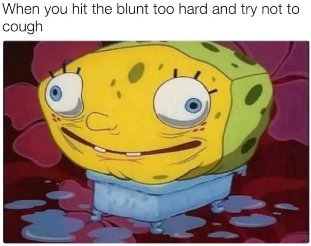 420 memes, weed memes, stoner memes, Cannabis Memes, Funny Stoner Content, Hilarious Stoner Stuff, Amusing Dope Culture, Pot Jokes, Cannabis Comedy