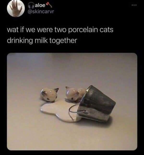 animal memes, funny animal memes, funny pet memes, humorous animal images, amusing animal jokes, comical creature memes, hilarious pet pics, chuckle-worthy animal humor
