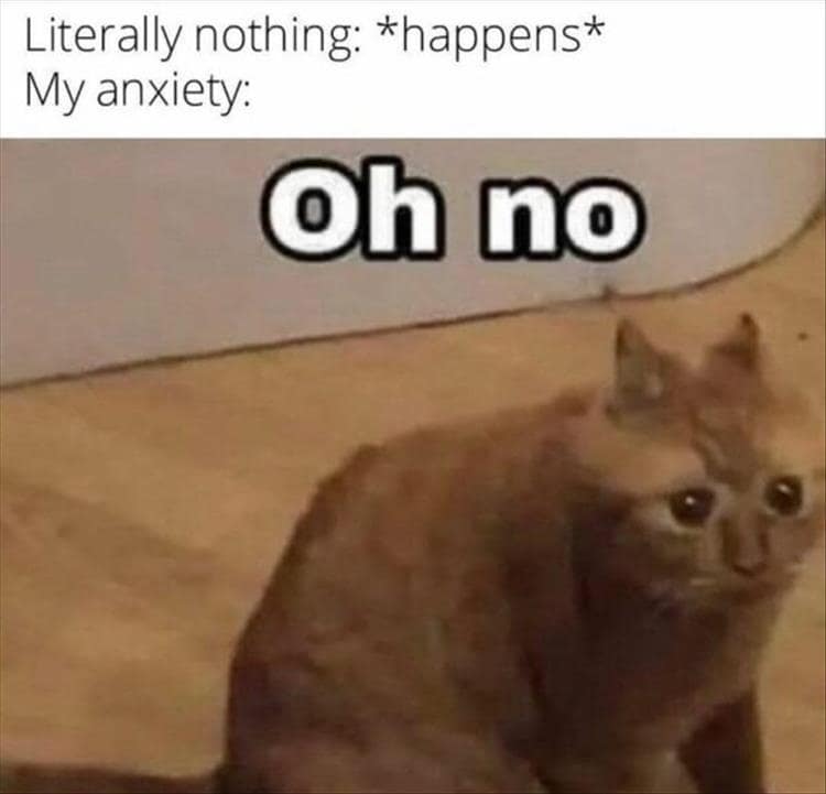 animal memes, funny animal memes, funny pet memes, humorous animal images, amusing animal jokes, comical creature memes, hilarious pet pics, chuckle-worthy animal humor
