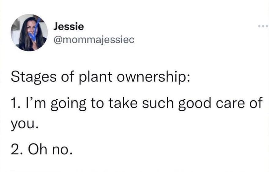 Stages of plant ownership: 1. I'm going to take such good care of you. 2. Oh no.