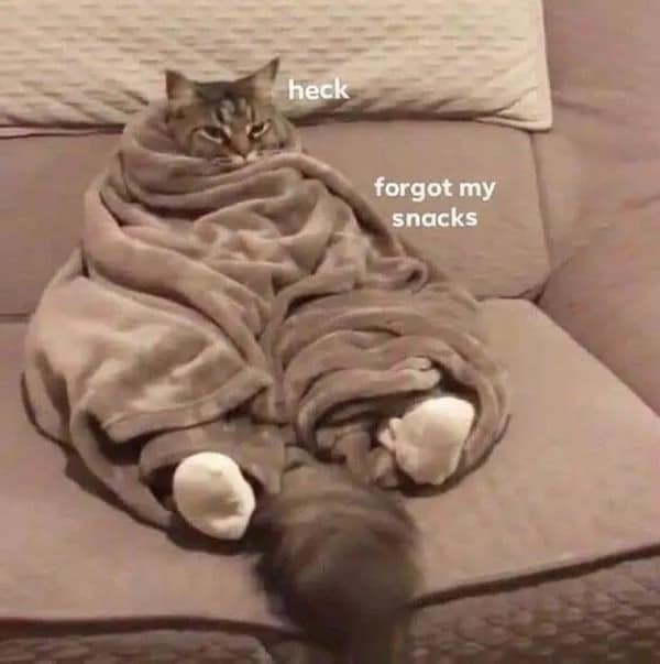 meme dump, funny memes, hilarious memes, internet humor, funny memes, laughter-inducing content, meme collection, humor compilation, joke repository