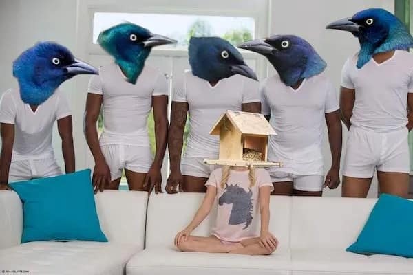 meme dump, funny memes, funny tweets, hilarious memes