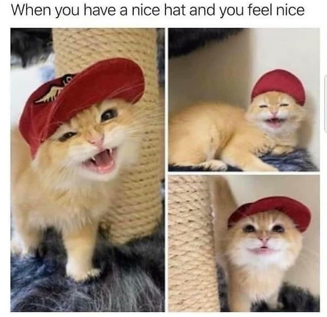 classic memes, viral tweets, vintage memes, Timeless Online Humor, Iconic Internet Moments, Enduring Online Trends, Legendary Social Media Posts