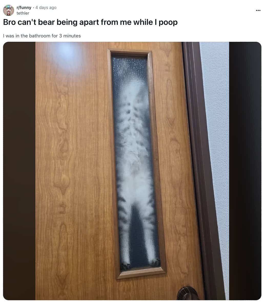 funny Reddit posts
