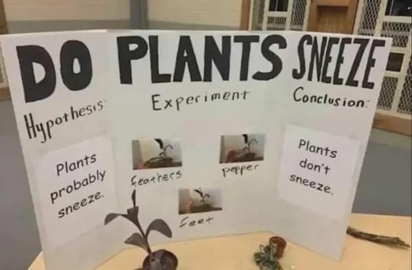 Escape the workday blues with 30 of the funniest memes circulating online