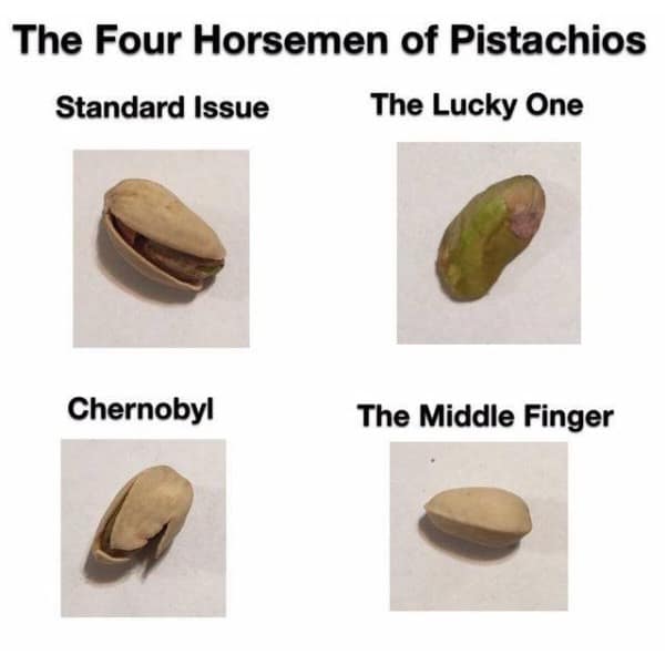 meme dump, hilarious memes, funny memes, vening dump session, curated meme collection, meme compilation, funny meme selection, meme roundup