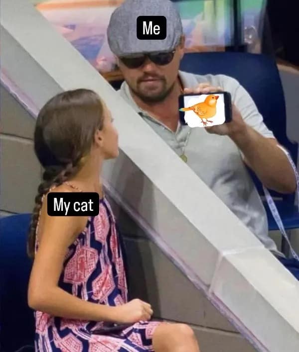meme dump, hilarious memes, funny memes, vening dump session, curated meme collection, meme compilation, funny meme selection, meme roundup