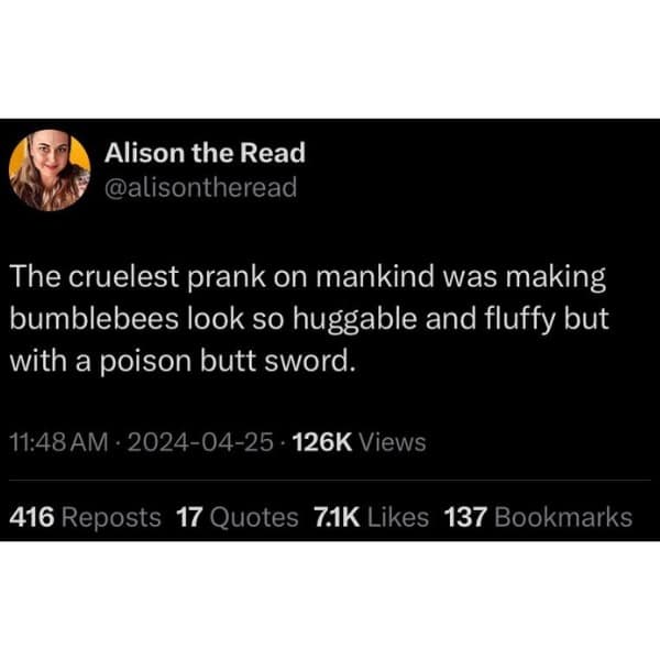 meme dump, hilarious memes, funny memes, vening dump session, curated meme collection, meme compilation, funny meme selection, meme roundup