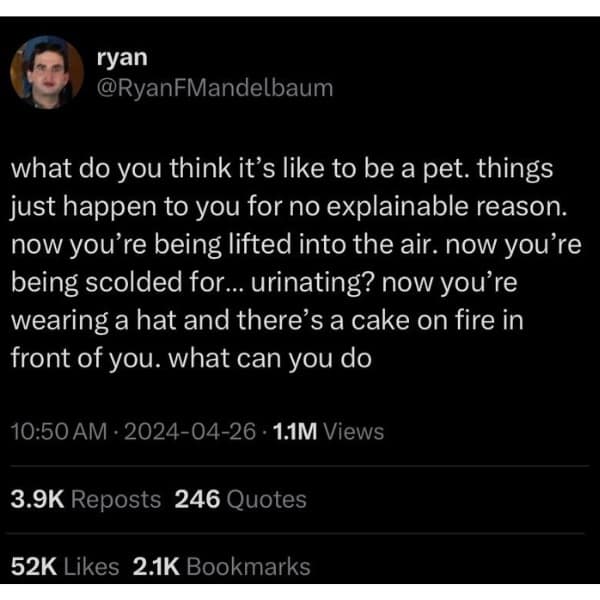 meme dump, hilarious memes, funny memes, vening dump session, curated meme collection, meme compilation, funny meme selection, meme roundup