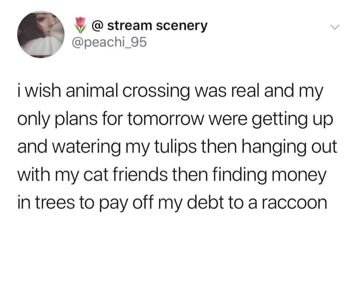 meme dump, funny memes, hilarious memes, Lunch Break Humor, Afternoon Pick-Me-Up Memes, Funny Work Memes, Hilarious Intermission, Midday Laugh Attack, Workday Comedy Collection