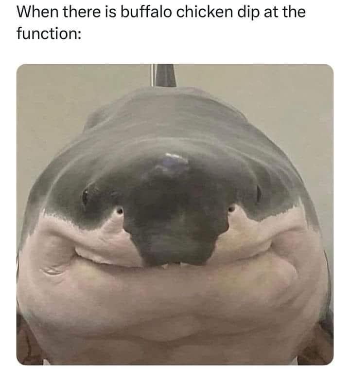 meme dump, funny memes, hilarious memes, Lunch Break Humor, Afternoon Pick-Me-Up Memes, Funny Work Memes, Hilarious Intermission, Midday Laugh Attack, Workday Comedy Collection