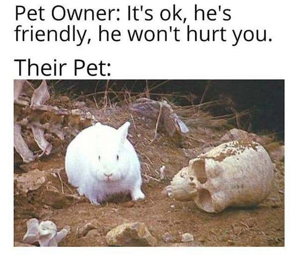 monty python memes, Monty Python humor, Python memes, British comedy memes, Monty Python jokes, Flying Circus memes, absurdist comedy memes