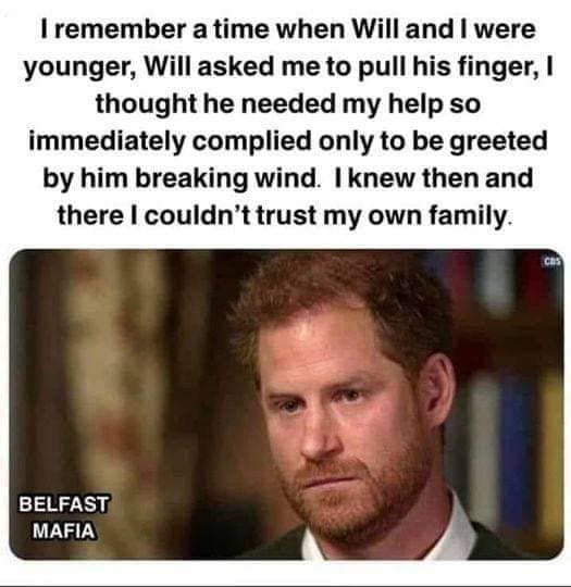 prince harry memes, prince harry, duke of sussex, Royal Family Humor, Royal Blunders, Duke of Sussex Shenanigans, Regal Roasts, Hilarious Harry, Meme-able Moments