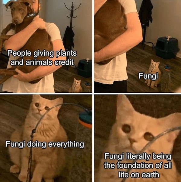science memes, Funny Science Stuff, Hilarious Lab Antics, Scientific Humor, Nerdy Laboratory Jokes, Science Jokes and Puns, Researcher Riddles