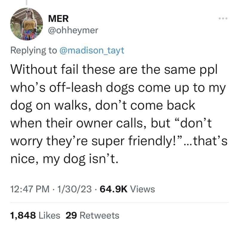 i absolutely love dogs but i think we've become entirely too permissive as a culture with thinking they can and should be taken everywhere