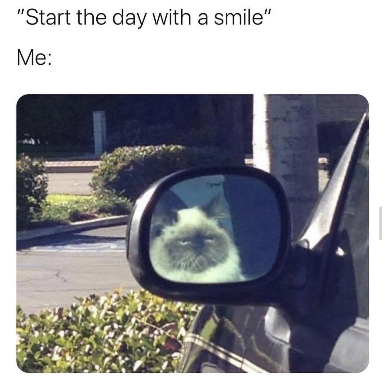classic memes, vintage memes, viral tweets, Viral Tweet Nostalgia, Iconic Internet Moments, Throwback Social Media, Online Jokes, Timeless Web Humor, Bygone Social Media Trends