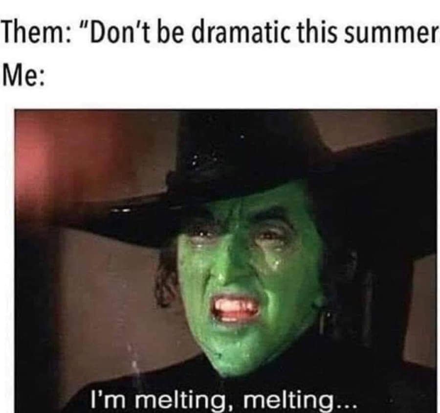 vintage internet humor, internet nostalgia, viral sensations, old memes, retro internet jokes, digital throwbacks