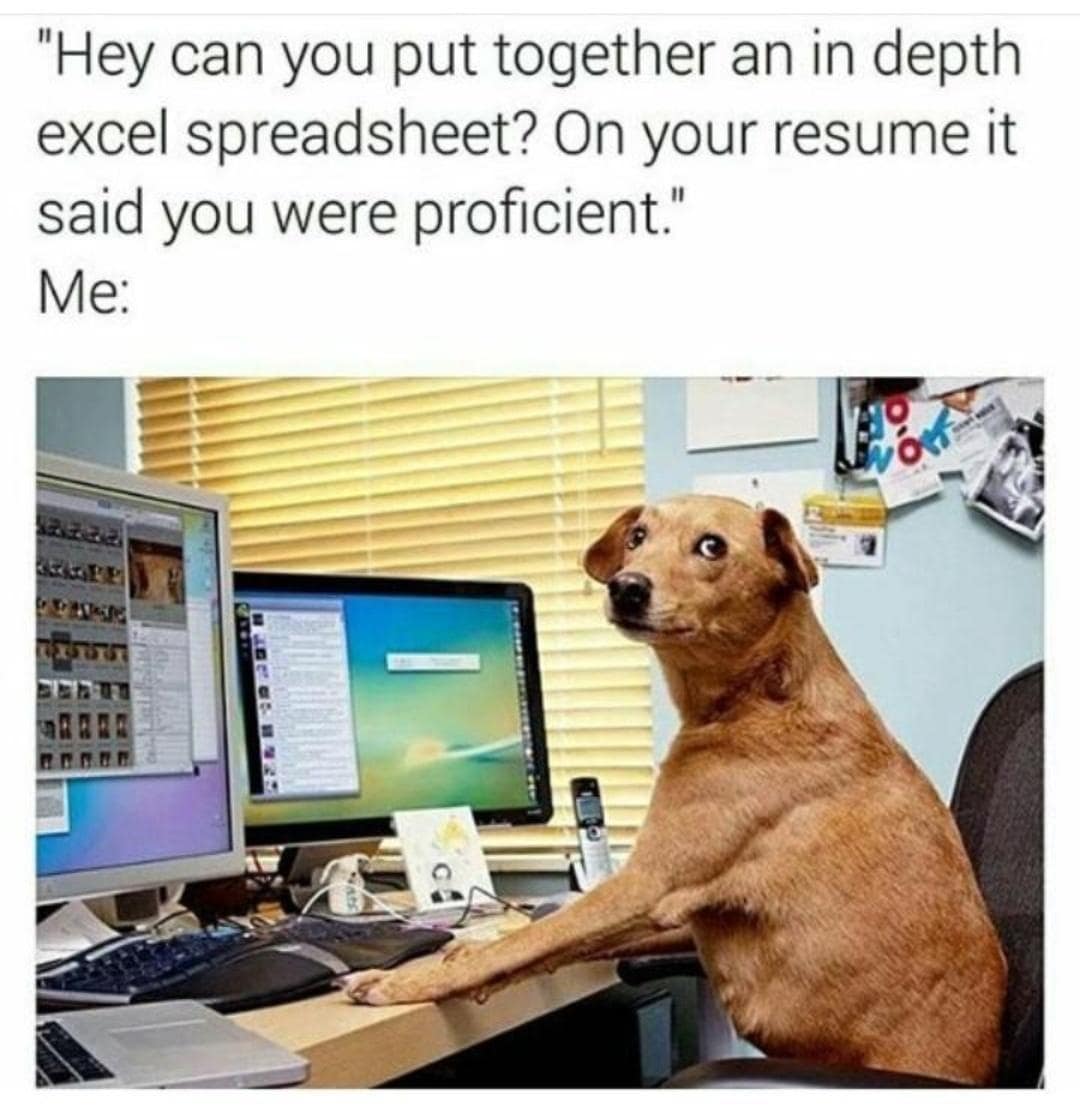 funny images, funny pics, hilarious memes
