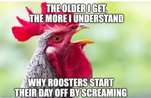 enior moments memes, midlife crisis jokes, Growing older memes, laughter in wrinkles, geriatric humor
