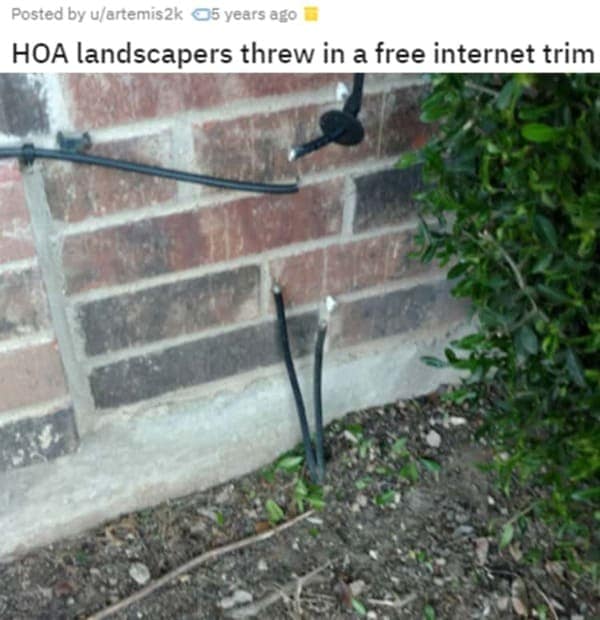 HOA nightmares. HOA landscapers threw in a free internet trim