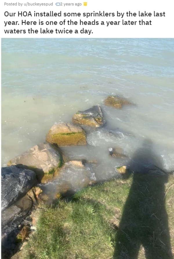 HOA nightmares. Our HOA installed some sprinklers by the lake last year. Here is one of the heads a year later that waters the lake twice a day.