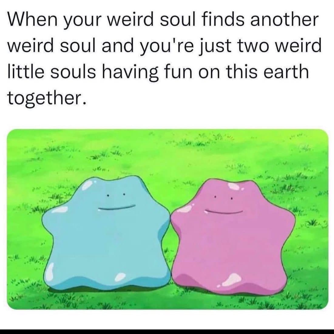 relationship memes. When your weird soul finds another weird soul and you're just two weird little souls having fun on this earth together.