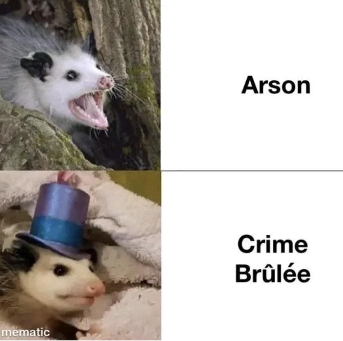 funny pics. Arson Crime Brûlée