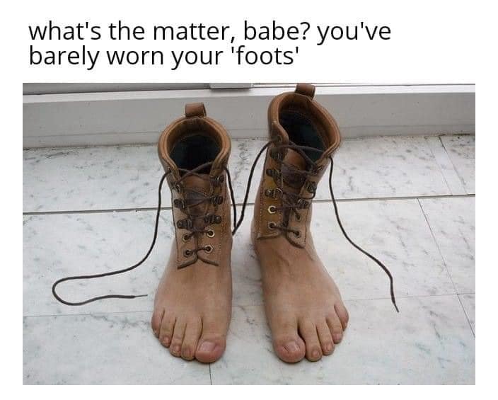 funny pics.