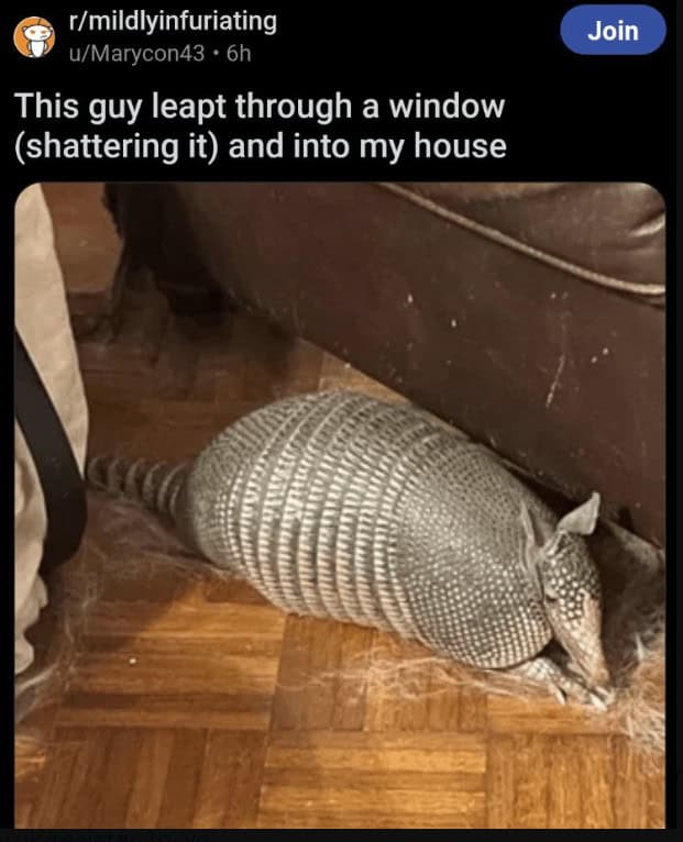 funny reddit posts, funny reddits, Hilarious Reddit content, Weird Reddit, Reddit finds