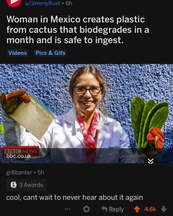 funny reddit posts, funny reddits, Hilarious Reddit content, Weird Reddit, Reddit finds