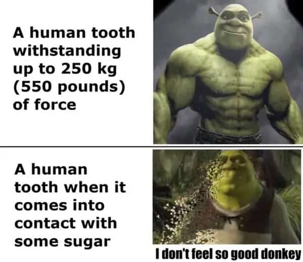 relatable memes, Funny Memes, Hilarious Memes, Amusing Memes